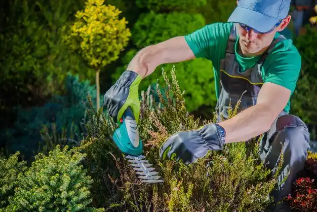 landscaping services Bella Villa